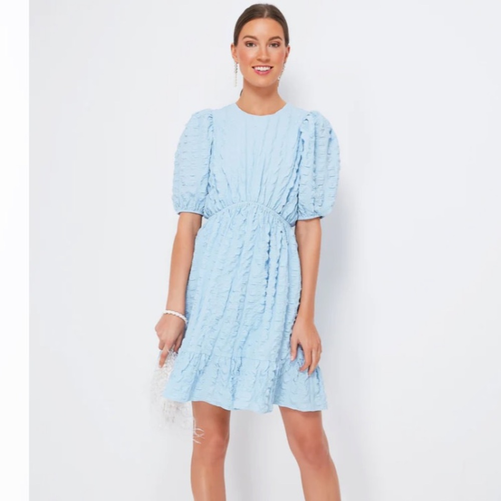 Tuckernuck Light Blue Textured Puff-Sleeve Mini Dress